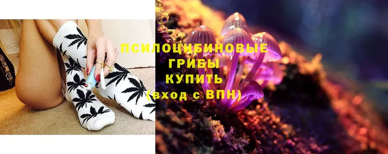 Галлюциногенные грибы Magic Shrooms  кракен зеркало  Сорск 